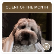 Client of the Month